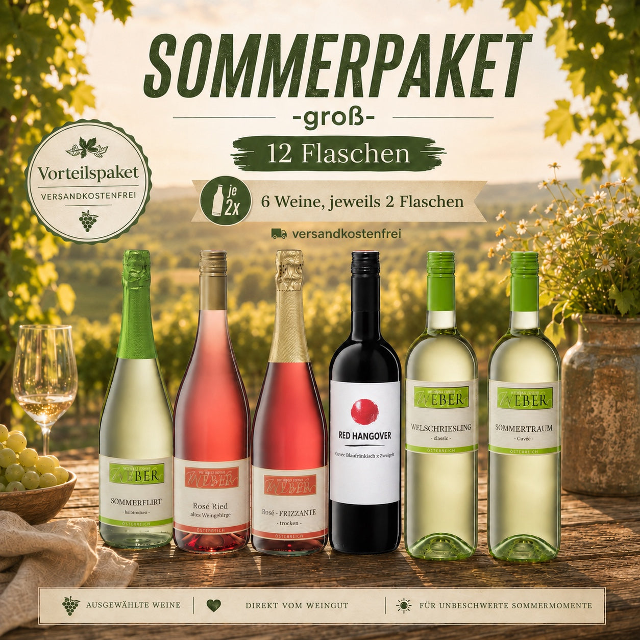 Sommerpaket groß mit zwölf Flaschen im sommerlichen Weingarten-Ambiente